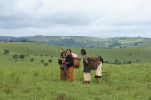 Mondulkiri - Cambodja - inheemse stammen